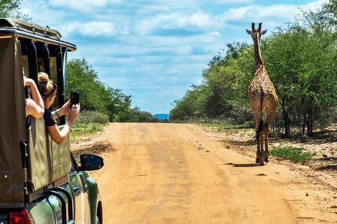 5 Day Kruger National Park and Panorama Route Safari - Day 1 in Kruger: arrive, settle, then go for the golden hours