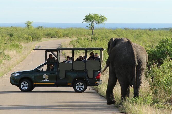 5 day-Kruger National Park Safari from Kruger Int. Airport (KMI), Panorama Route - Panorama Route day: God’s Window, potholes, falls, and the Rondavels