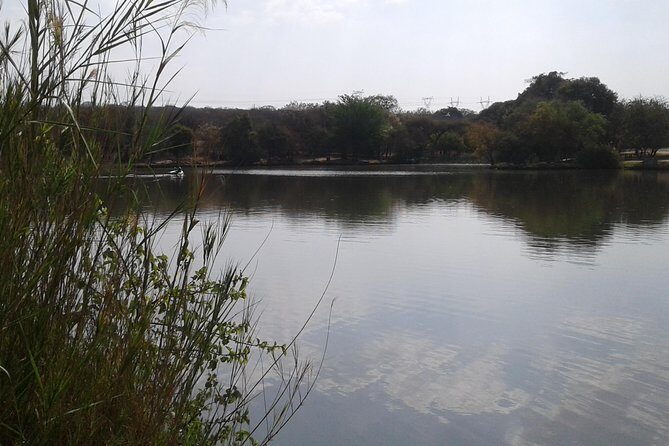 5 Day Kruger National Park tour - Big Five dreams, grounded in real planning