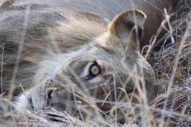 5 Day Kruger National Park tour - Blyde River Canyon Nature Reserve: views plus a water-and-wildlife break
