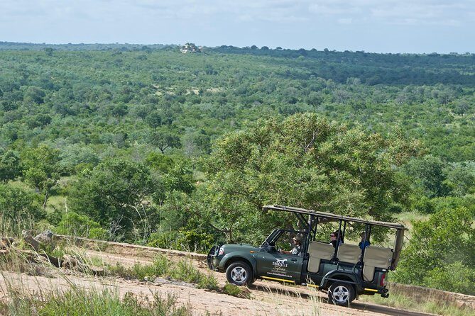 5-Day Kruger Park Safari & Panoramic Tour Combo including Breakfast and Dinner - Day 4: Second Kruger safari on a different route