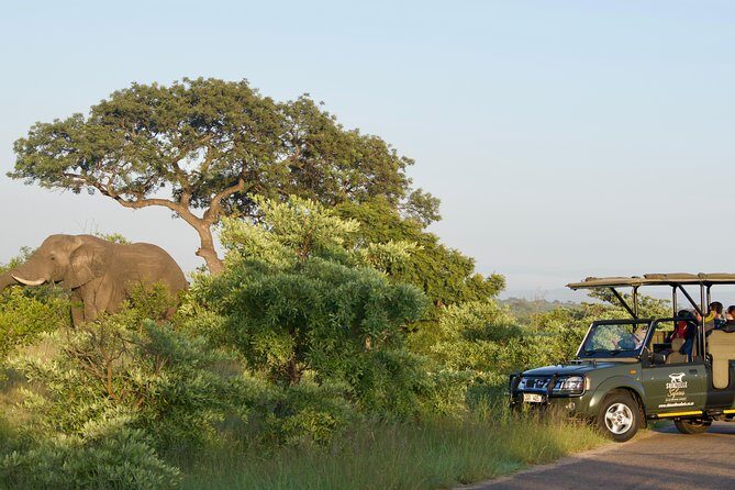 5-Day Kruger Park Safari & Panoramic Tour Combo including Breakfast and Dinner - Where you stay: Sabie River Valley comfort close to Kruger