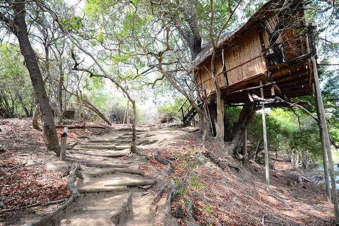 5 Day Lodge and Treehouse Kruger National Park Safari - A 5-day safari that spreads you across the action