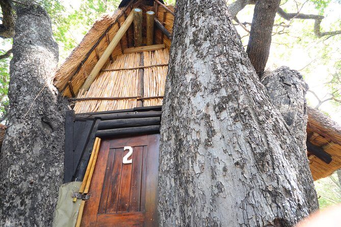 5 Day Lodge and Treehouse Kruger National Park Safari - Price and value: what you’re paying for in real terms