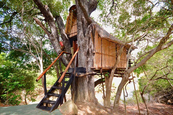 5 Day Lodge and Treehouse Kruger National Park Safari - Comfort, timing, and small logistics that matter