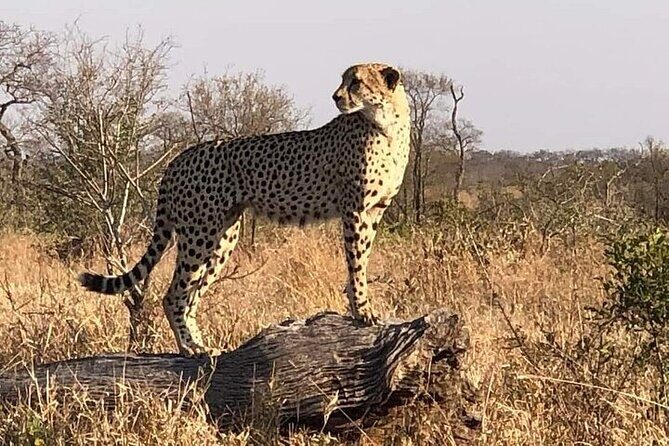 5 Day Ultimate Kruger National Park Budget Accommodation - Lisbon Falls, Bourke’s Luck Potholes, and Blyde River Canyon