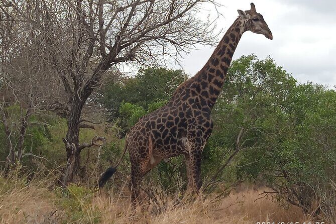 5 Day Ultimate Kruger National Park Budget Accommodation - The human factor: Norman, friendliness, and a well-run pace