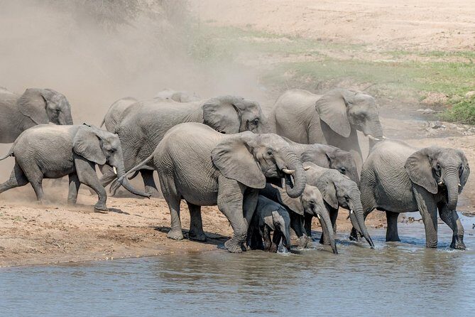 5 Day Wildlife Photographic Safari - Kruger National Park - B1 Photo Safaris - The vehicle setup: stabilization and power that keeps batteries alive