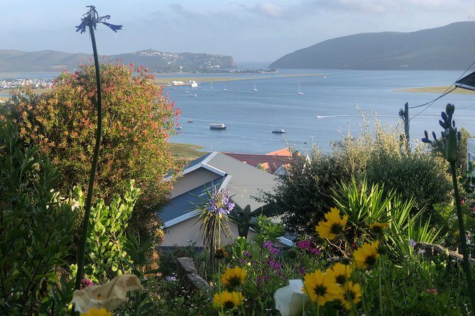 5 Days Private Guided Tour in Garden Route - Day 3: Plettenberg Bay Nature Options Including Monkeyland and Birds of Eden