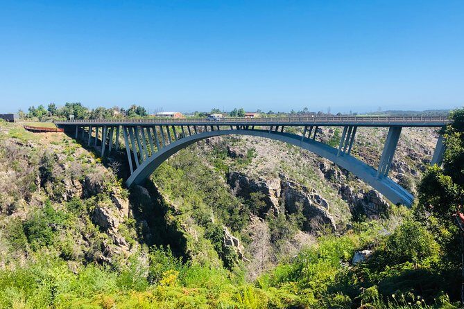 5 Days Private Guided Tour in Garden Route - Day 4: Tsitsikamma Forest, Storms River Bridges, and Canopy Adventures