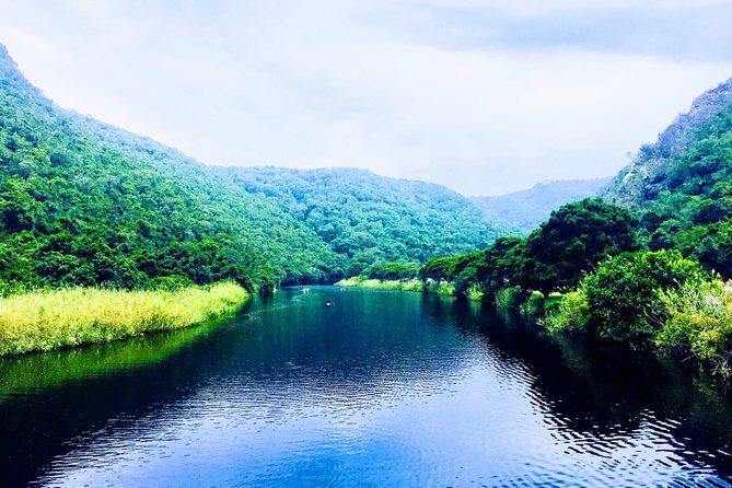 5 Days Private Guided Tour in Garden Route - Day 5: Oudtshoorn, Karoo Driving, Cango Caves, and Route 62