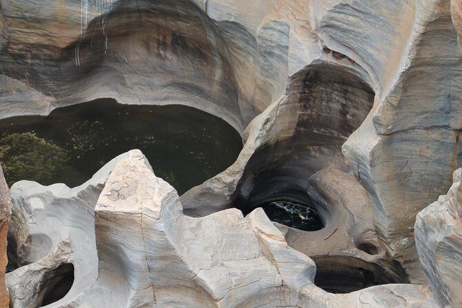 5Days Blyde River Canyon and Kruger National Park Overnight Tour and Safaris - Day 5: a short morning drive, bushveld brunch, then back to the city