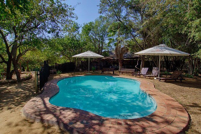 6 Day Budget Kruger National Park Safari - Day by Day: Balule, Kruger, and the Key Wildlife Moments