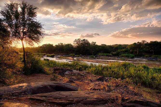 6 Day Budget Kruger National Park Safari - Open Vehicles, Spotlights, and Timing: How to Get the Best Wildlife Experience