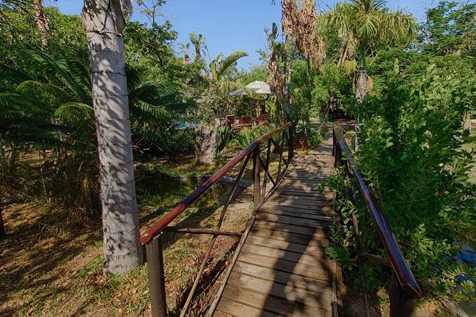 6 Day Classic Kruger National Park Safari from Johannesburg - Transport, Groups, and What the Pace Really Means for You