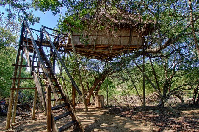 6 Day Lodge and Treehouse Kruger National Park Safari - Kruger via Orpen: open game viewing and birdwatching all day (Day 3)