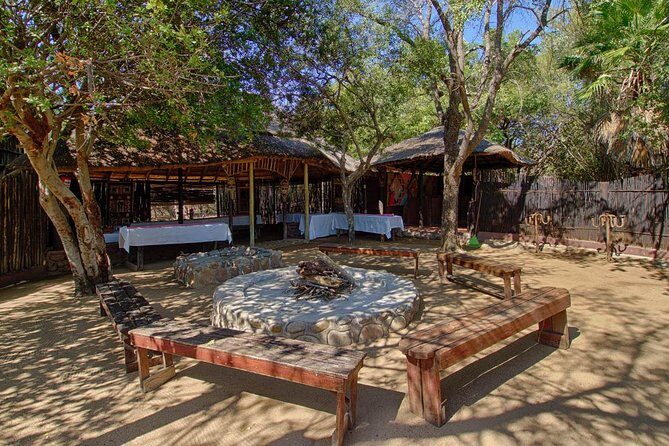 6 Day Lodge and Treehouse Kruger National Park Safari - Moholoholo Wildlife Rehabilitation Centre: conservation you can see (Day 4)