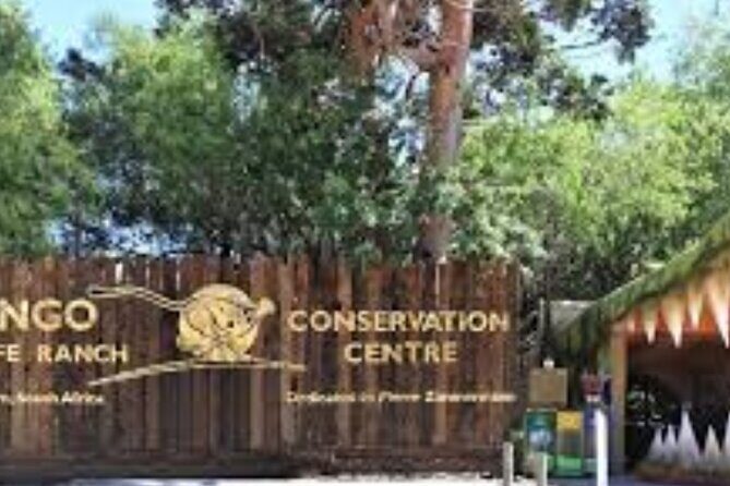 7- 10 Days Tour Package Cape Town and Garden Route - Day 6: Tsitsikamma National Park Suspension Bridge, Bloukrans Bungee Option, Knysna Elephant Park