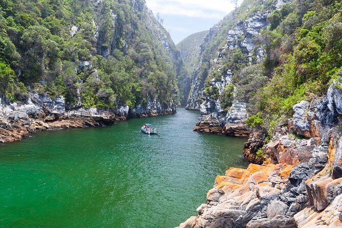 7-day Cape Town, Winelands, Garden Route and Addo National Park - Key highlights you’ll actually feel on the trip