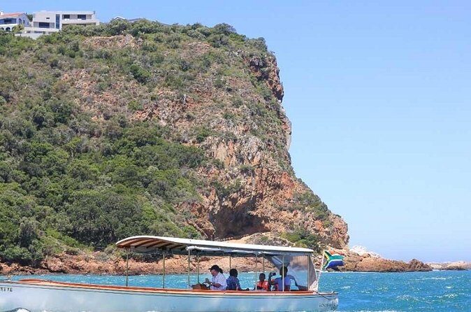 7-Day Garden Route Safari Adventure from Cape Town - Mossel Bay harbour: white shark viewing plus strawberry breaks that keep the day human
