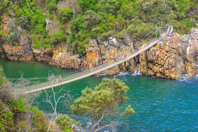 7-Day Garden Route Safari Adventure from Cape Town - The long way back to Cape Town: how to end the week with good photo stops