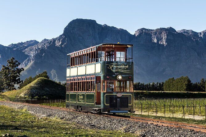 7 Day Garden Route to Addo, Cape Point and Winelands Combo tour - Day 2: Cango Ostrich Show Farm + Cango Caves, Then Overnight Near Addo