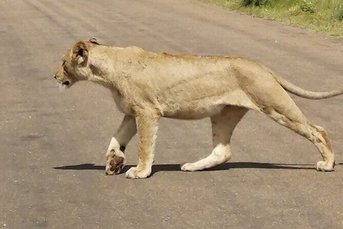 9 day Luxury Kruger Park Safari & Cape Town Tour - Valley of Waves and mampoer: the fun, slightly mischievous extras