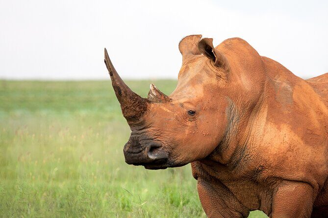 9 day Luxury Kruger Park Safari & Cape Town Tour - The flight to Cape Town: why the V&A Waterfront-area hotel matters