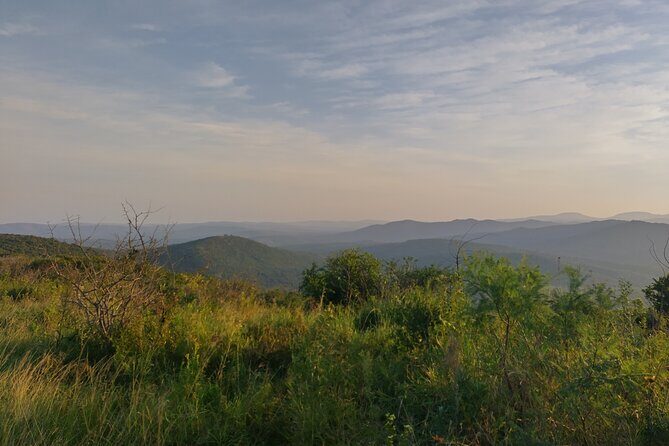A Full Day Safari Tour to the Hluhluwe Imfolozi Big 5 Game Reserve - Key Things to Know Before You Go