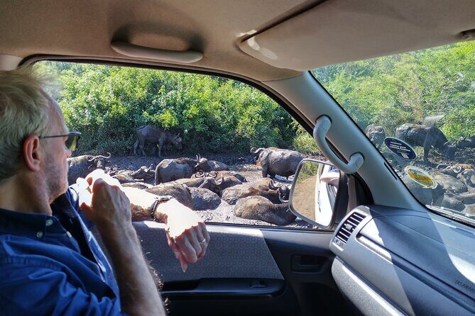 A Full Day Safari Tour to the Hluhluwe Imfolozi Big 5 Game Reserve - What’s Included (and How That Affects Real Value)
