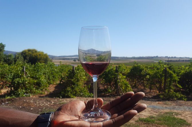 A Visit To Stellenbosch Franschoek Paarl Wineries From Cape Town Full Day - Key highlights you’ll actually feel