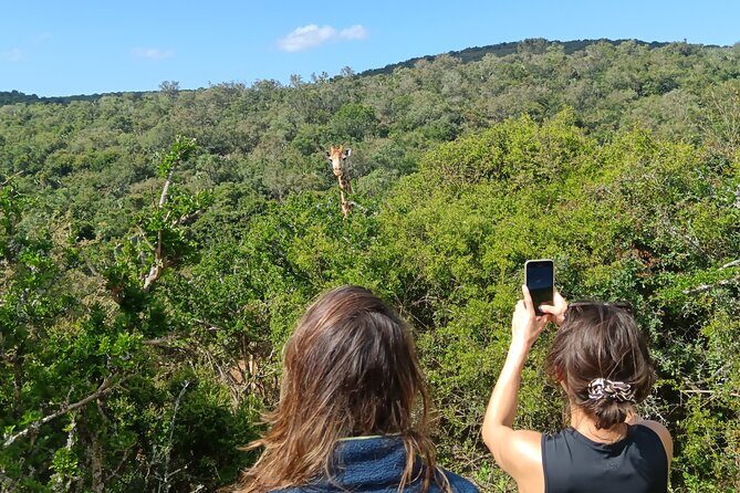 Addo Elephant National Park and Giraffe Walk Tracking Safari - Comfort and essentials: binoculars, water, and an air-conditioned vehicle