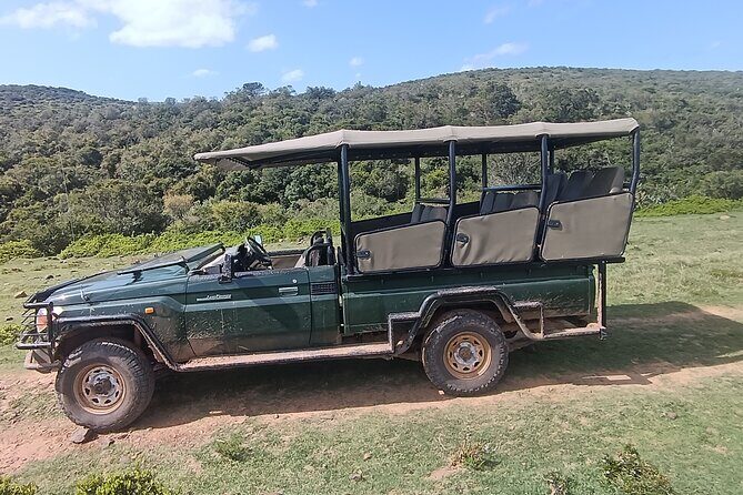 Addo Elephant National Park and Giraffe Walk Tracking Safari - Guide quality and communication: the Carlin example