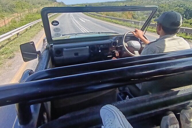 Addo Elephant National Park and Giraffe Walk Tracking Safari - Should you book Addo Elephant National Park and the Giraffe Walk Tracking Safari?