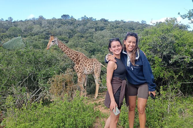 Addo Elephant National Park and Giraffe Walk Tracking Safari - Addo Elephant National Park: a malaria-free Big Five base with dense elephants