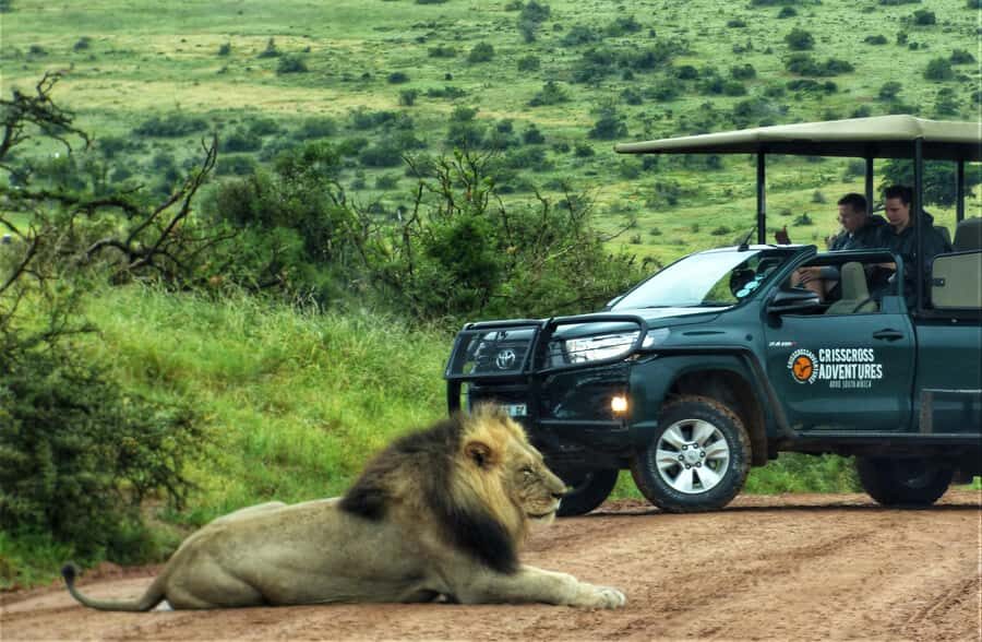 Addo Elephant National Park: Full-Day Safari Tour with Lunch - The North-to-South Addo Route: Why It Helps Your Chances