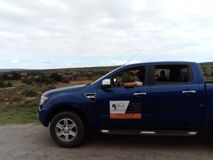 Addo Elephant National Park Game Drive Day Tour With Lunch - Quick, Worth-It Highlights