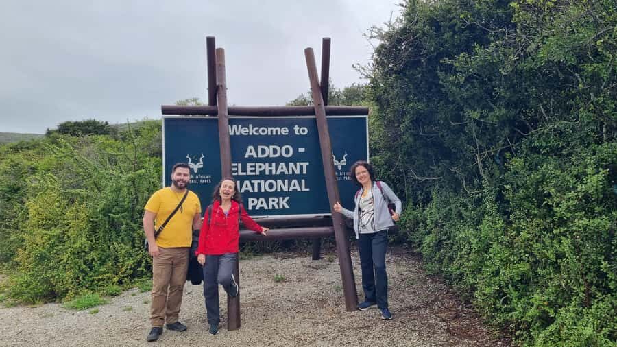 Addo Elephant National Park Private Full-Day Safari - Price and Logistics: what $280 buys on this private Addo day