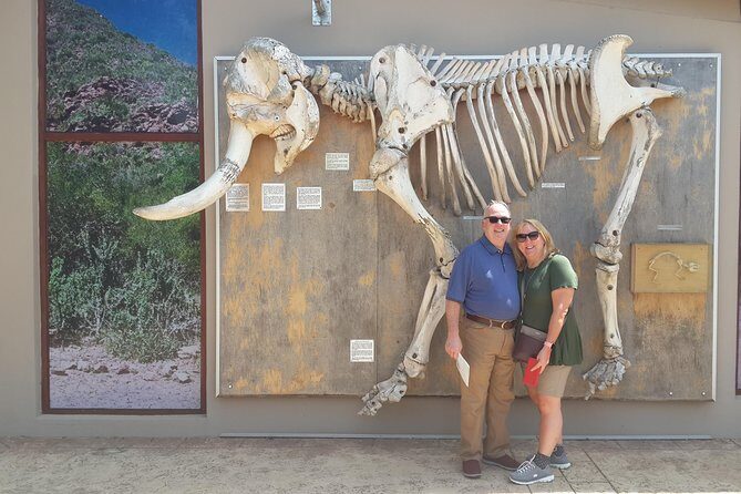 Addo Elephant National Park Tours from Port Elizabeth - Price and inclusions that make the day feel fair