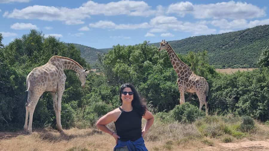 Addo Elephant Park and Giraffe Walk Full Day Safari - Braai lunch inside Addo: South African comfort food, done right