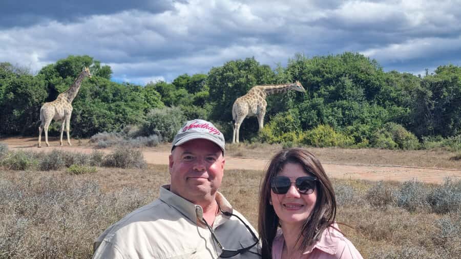 Addo Elephant Park and Giraffe Walk Private Full Day Safari - The drive with your guide: why private changes the day