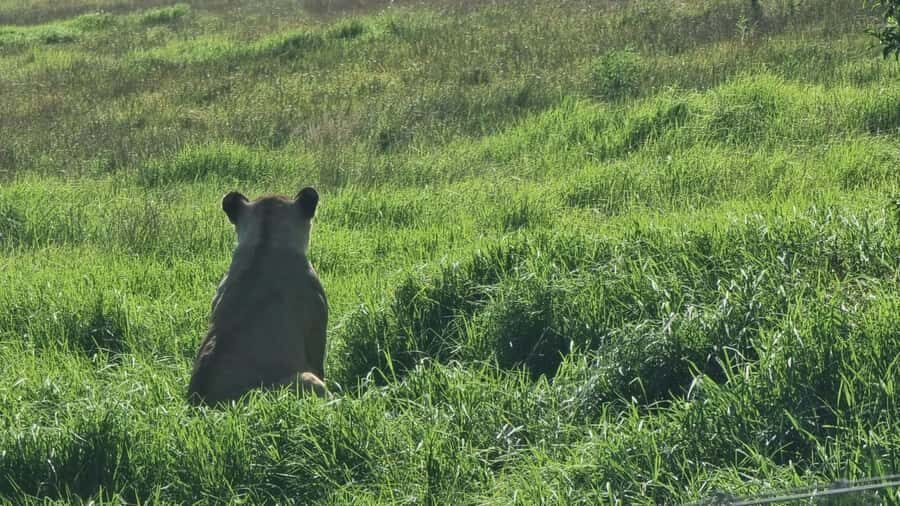 Addo Elephant Park and Kragga Kamma Game Park Combo - Price and value: is $224 per person a fair deal?