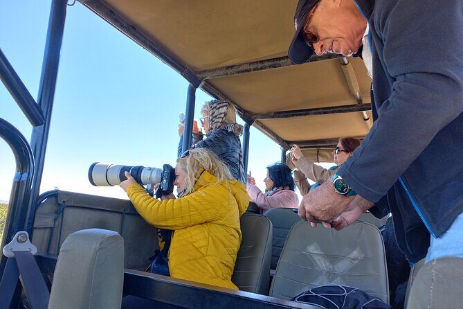 Addo Elephant Park Full day big 5 Safari - Port Elizabeth Pickup and a Full-Day Safari Timeline (6–8 Hours)