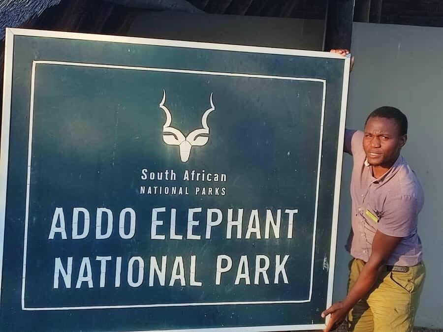 Addo Elephant Park Tours. Full Day - Key highlights to expect