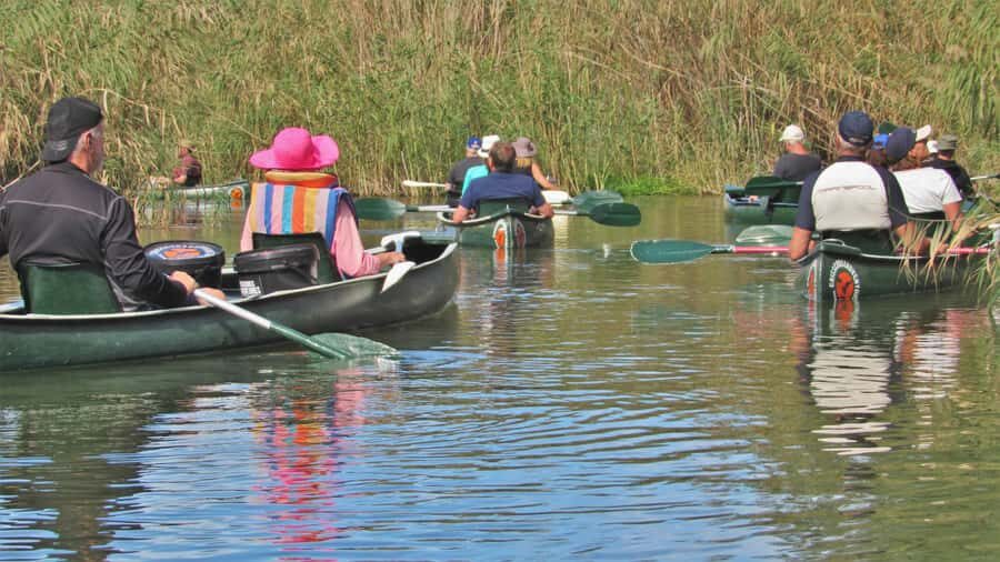 Addo River Safari - Guided Tour via Canoe - Price and logistics: what $49 buys you (and what it doesn’t)