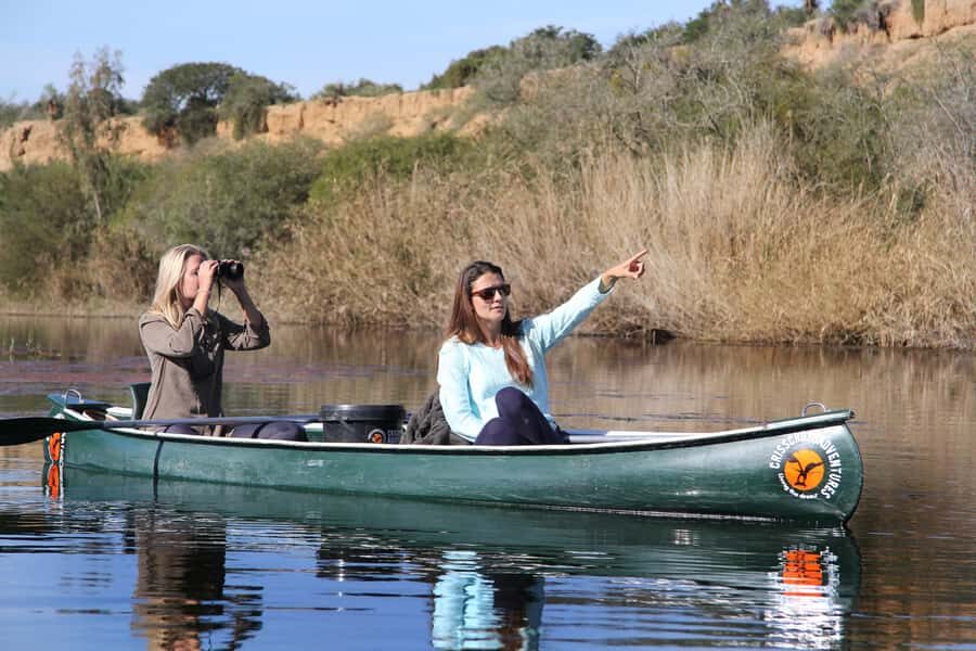 Addo River Safari - Guided Tour via Canoe - Your 150 minutes on the water (and why that length works)
