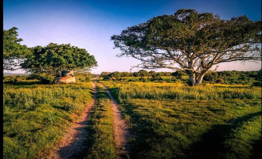 Addo Wildlife Reserve Sunset Safari +Bush Dinner :Gqeberha - The Safari Vehicle and Small-Group Reality (Comfort vs. Control)