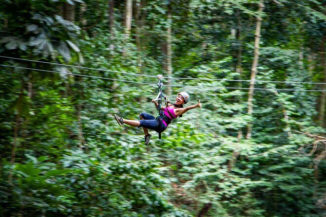 Adrena-Line Zipline, St. Lucia - Key Highlights You’ll Care About