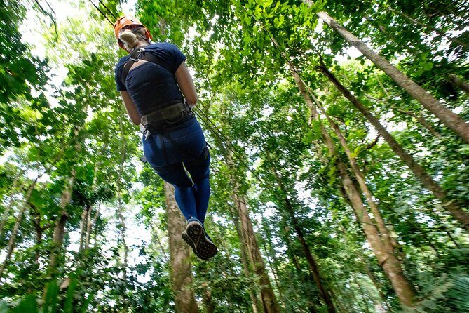 Adrena-Line Zipline, St. Lucia - Starting Points: North St Lucia Pickup vs Meeting in Chassin