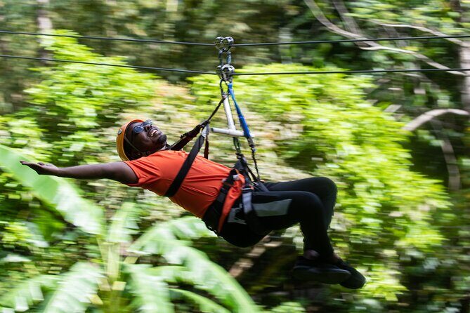 Adrena-Line Zipline, St. Lucia - On the Course: Forest Walk, Platform-to-Platform Flying, Tarzan Swing